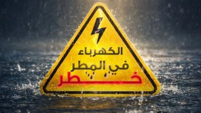  الشركة القابضة لكهرباء مصر