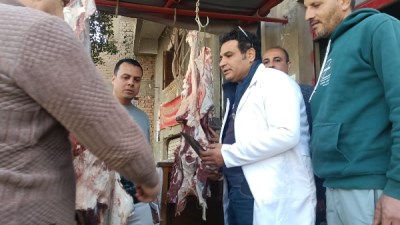 محافظ الفيوم يتابع جهود الطب البيطري لتنمية الثروة الحيوانية