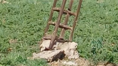 عمود كهرباء مائل يهدد طامية