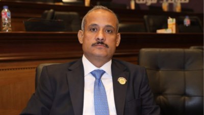 أحمد محمد حسن عضو مجلس الشيوخ 