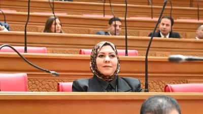 د.شيماء محمود نبيه