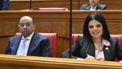 زينب بشير عضو مجلس النواب 