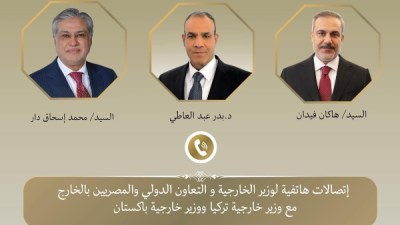 وزير الخارجية يبحث مع نظيريه الباكستاني والتركي التطورات الإقليمية وجهود خفض التصعيد