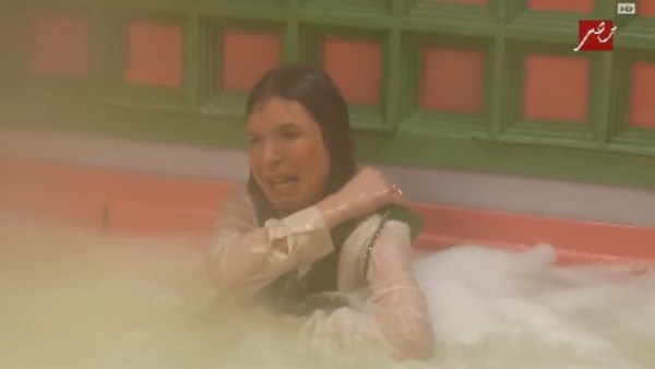 الفنانة دينا