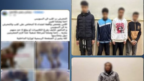 حقيقة فيديو التعدي غير الأخلاقي على كلب