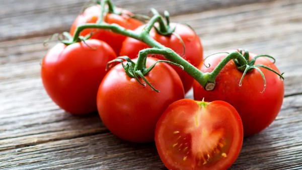 الطماطم 