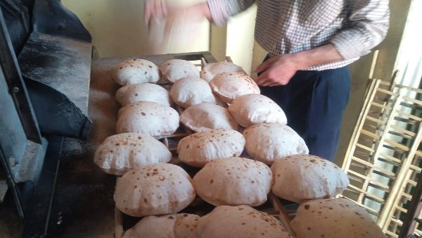 جانب من جولة اليوم