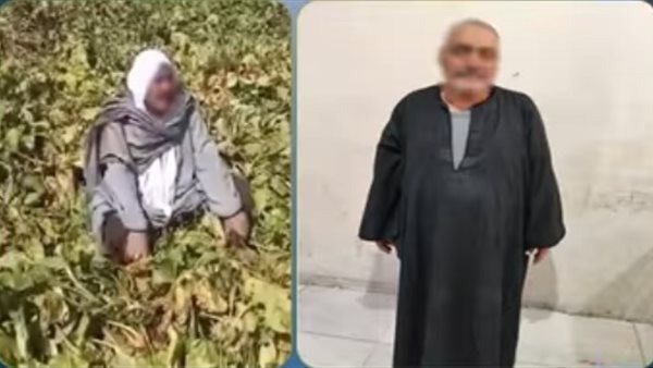 مزارع يتلف محصوله 