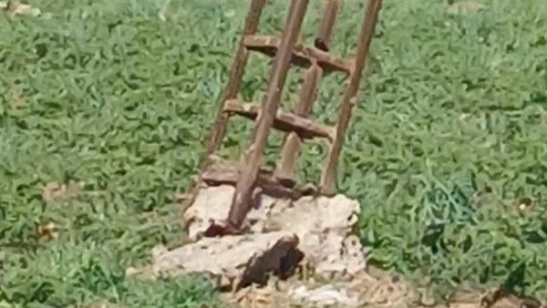 عمود كهرباء مائل يهدد طامية