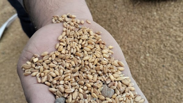 محافظة البحيرة 