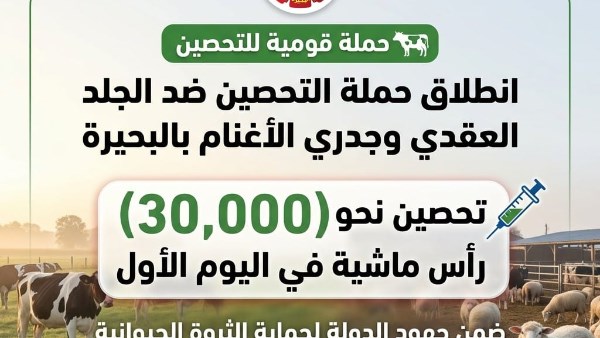 حملة المواشي بالبحيرة 