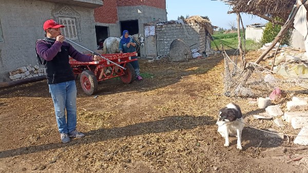 محافظة البحيرة 