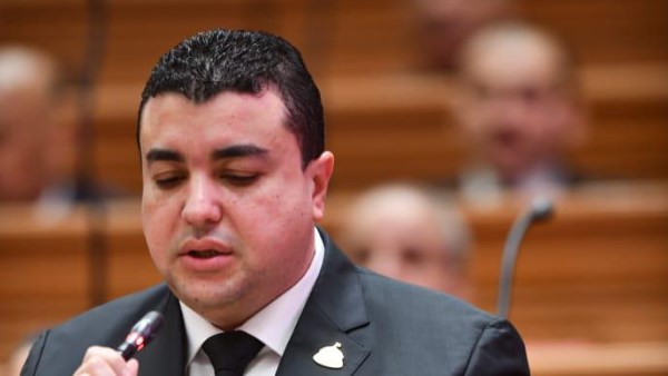 شادي الكومي عضو مجلس النواب