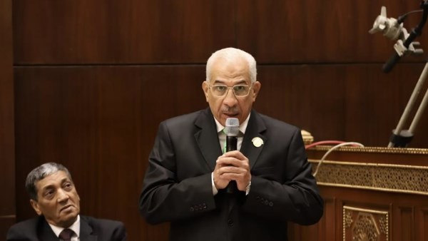 مجدي سليم عضو مجلس الشيوخ 