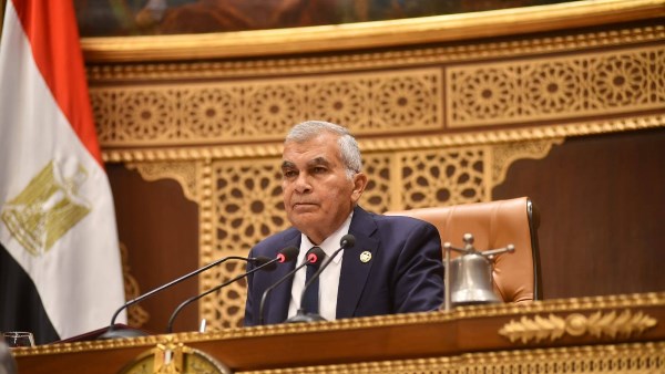 المستشار عصام الدين فريد