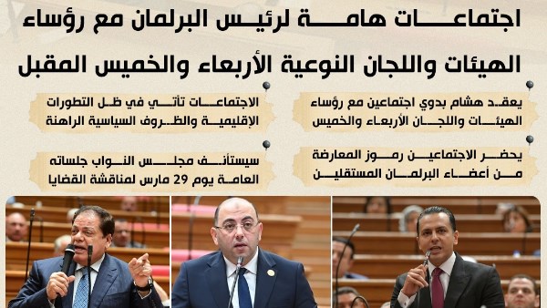 قبل جلسة 29 مارس.. اجتماعات مكثفة لرئيس النواب مع الهيئات البرلمانية 