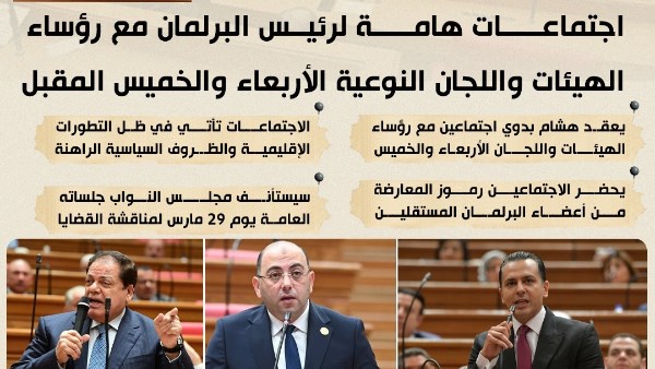 قبل جلسة 29 مارس.. اجتماعات مكثفة لرئيس النواب مع الهيئات البرلمانية