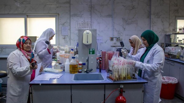 "متبقيات المبيدات" يستقبل ويفحص 1900 عينة من الشحنات الصادرة خلال اليوم الثاني من إجازة العيد