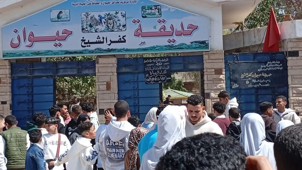 حديقة الحيوان بكفر الشيخ