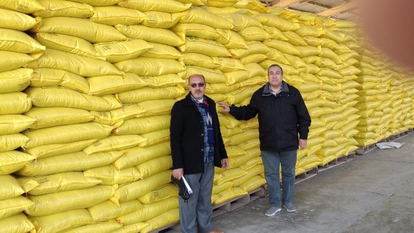 “الزراعة” تنتهي من تجهيز تقاوي القطن لموسم 2026 