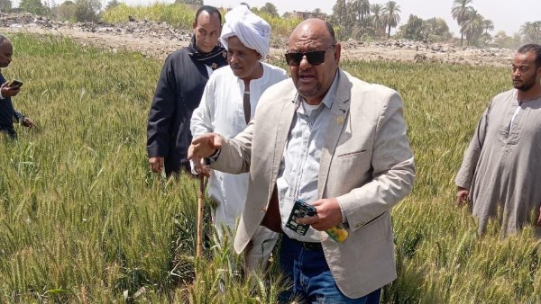 “الزراعة” تتابع البرامج البحثية والحقول الإرشادية بمحطة كوم أمبو بأسوان خلال عيد الفطر