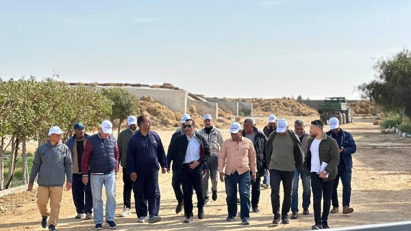 رفع درجة الإستعداد القصوى لمواجهة موجة الطقس السيئ