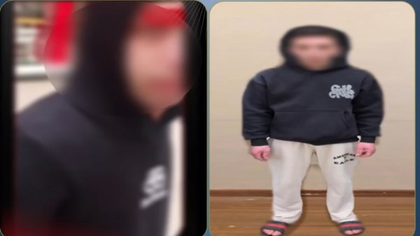 القبض على طالب متهم بالتحرش ومحاولة سرقة هاتف فتاة في الدقهلية