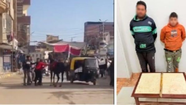 بسبب "فيديو العصا الخشبية".. أمن الغربية يضبط المتهمين بالاعتداء على "حصان" بالسنطة 