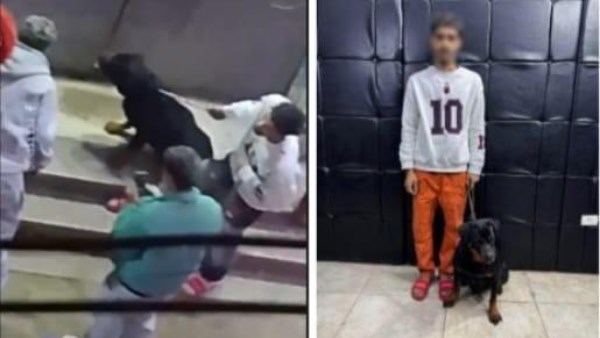 بدافع اللهو".. كشف ملابسات فيديو ترهيب المواطنين بـ "كلب" في مدينة نصر والقبض على المتهم