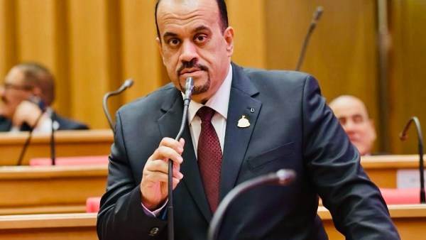 النائب إيهاب إمام 