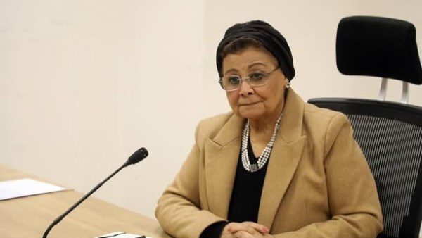 الدكتورة عبلة الألفي، نائب وزير الصحة والسكان