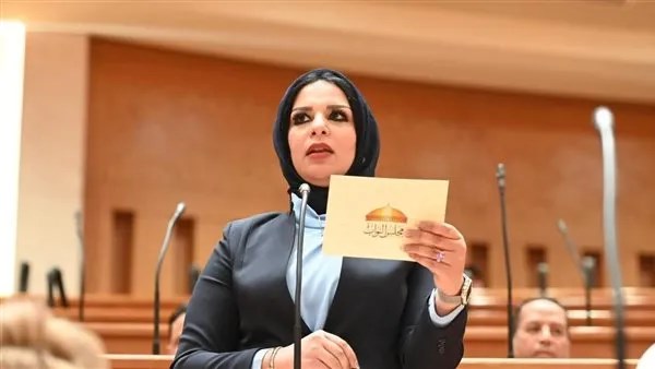 مروة حلاوة، عضو لجنة الصحة بمجلس النواب