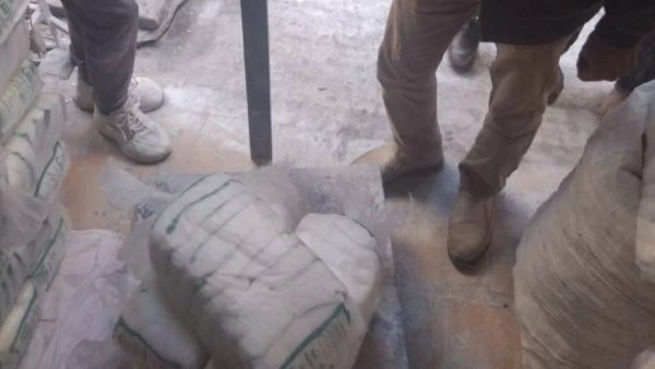 أسماك فاسدة