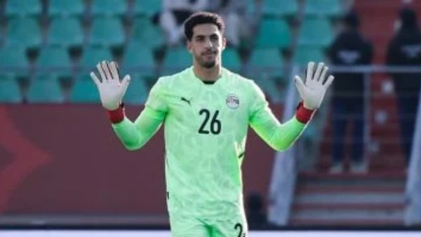 مصطفى شوبير 