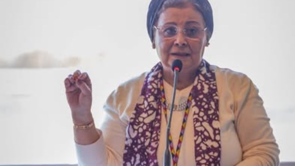  الدكتورة عبلة الألفي، نائب وزير الصحة والسكان