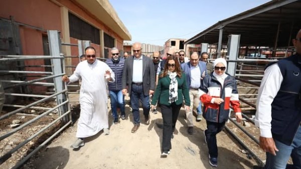 جانب من جولة اليوم 