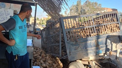 انقلاب مقطورة بنجر في إطسا دون إصابات