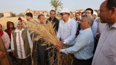 اللواء عماد الكدواني محافظ المنيا