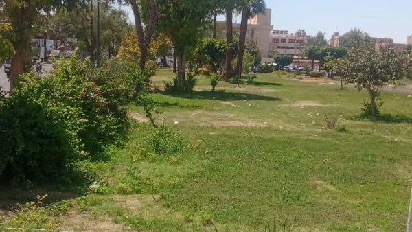 حملة مكبرة لصيانه المسطحات الخضراء 