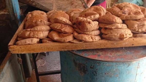 جانب من الحمله