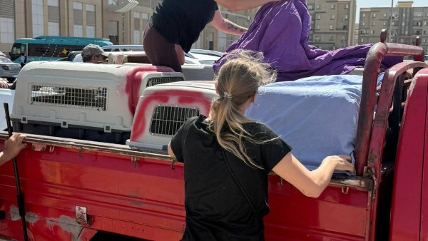 جانب من الحمله