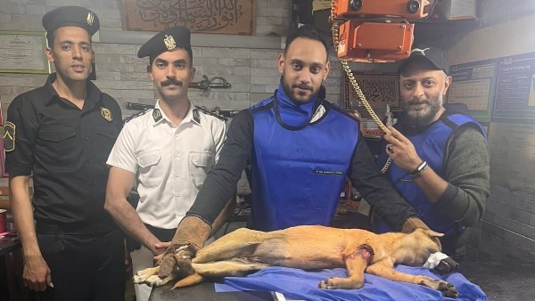 شرطة النجدة والطبيب المعالج 