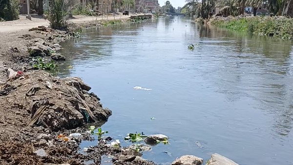 استغاثة نوارة لإصلاح الطريق 