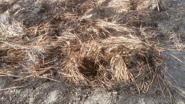 إخماد الحريق 