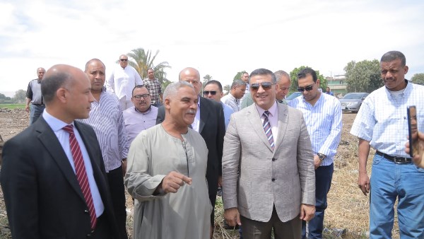 انطلاق موسم القمح في قنا 
