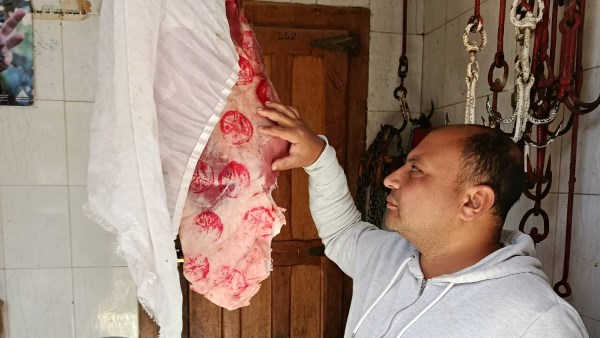 مديرية الطب البيطري 