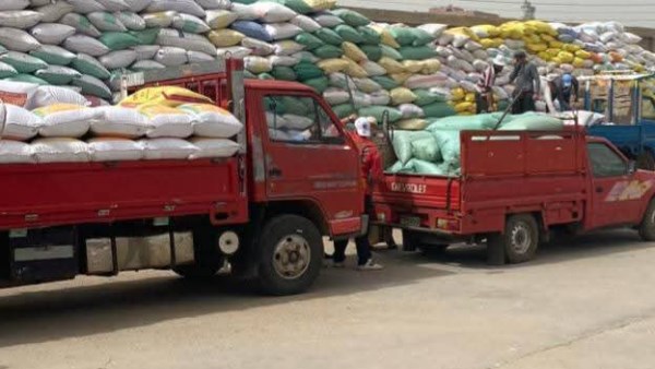 توريد القمح بالبحيرة 