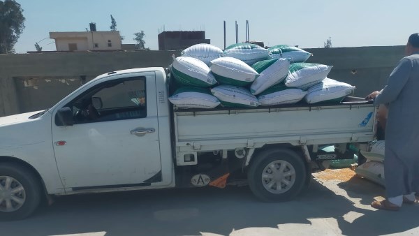 توريد القمح في البحيرة 