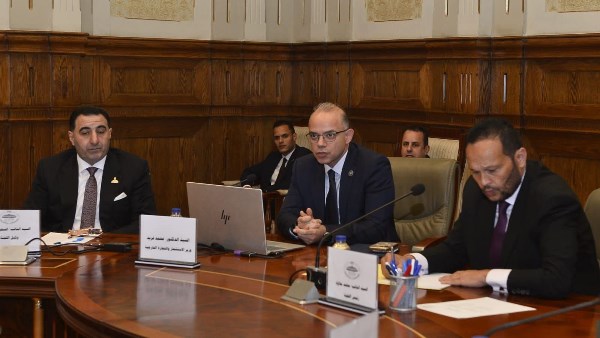 النائب محمد حلاوة مع وزير الاستثمار