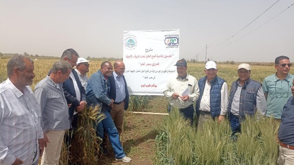 قيادات "البحوث الزراعية" تتفقد محطتي شندويل وكوم أمبو